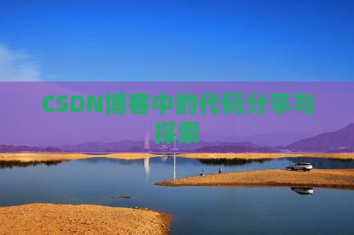 CSDN博客中的代码分享与探索